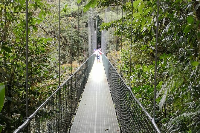 Full Day Hot Springs at Arenal Volcano and Hanging Brides From San Jose - Highlights of the Tour