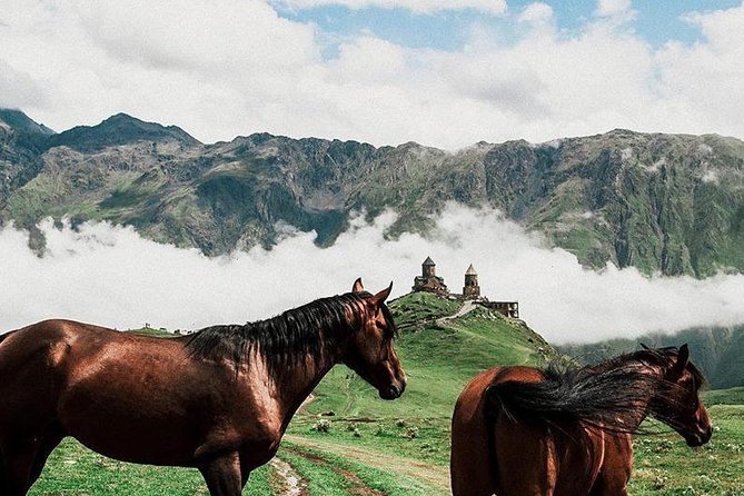 Full Day Kazbegi-Gudauri-Jvari -From Tbilisi - Tour Overview