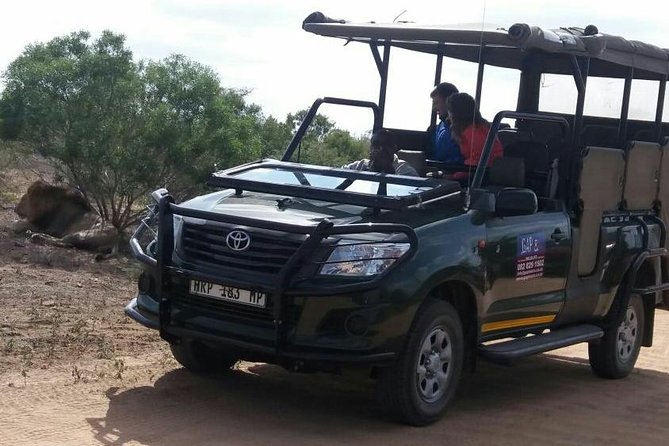 Full-Day Kruger National Park Safari