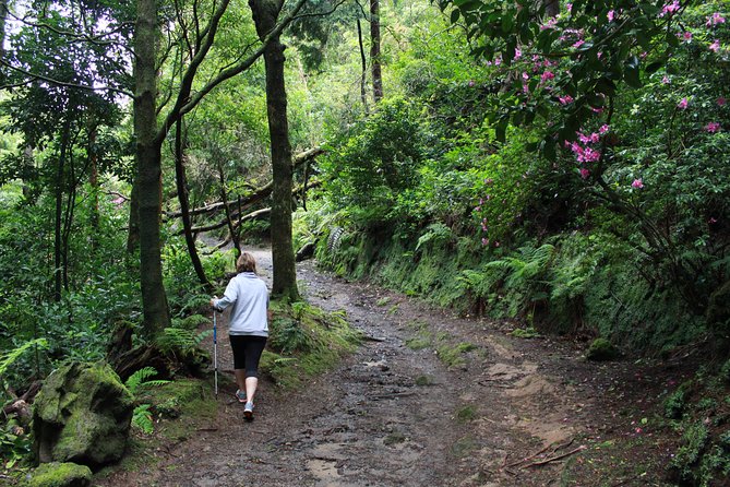 Full Day Lagoa Do Fogo Tour + Walking + Liquor Tasting PRIVATE - Tour Overview