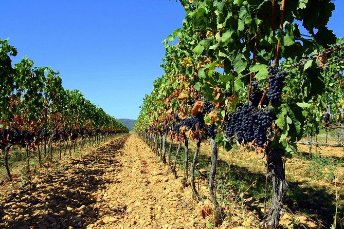 Full-Day Luberon Tour From Avignon