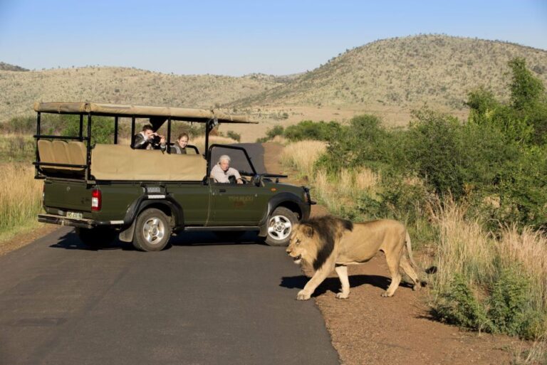 Full Day Private Kruger Safari From Hoedspruit