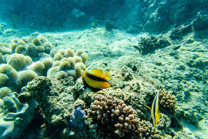 Full Day Private Tour in Cayo Arena