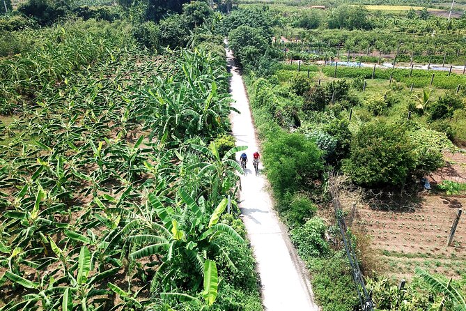 Full-Day Red River Bike Tour From Hanoi With Lunch and Pickup