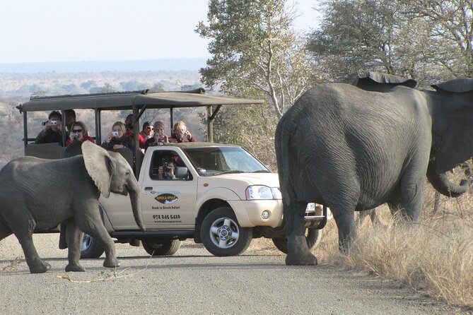4 Best Tours In Mpumalanga