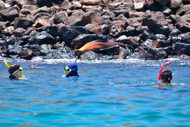 Full Day Santa Fe & Playa Escondida Snorkeling Tour