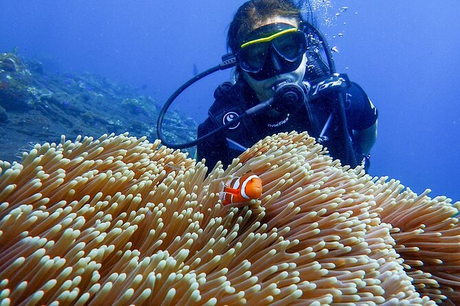 Full-Day Scuba Diving Experience of USAT Liberty in Tulamben