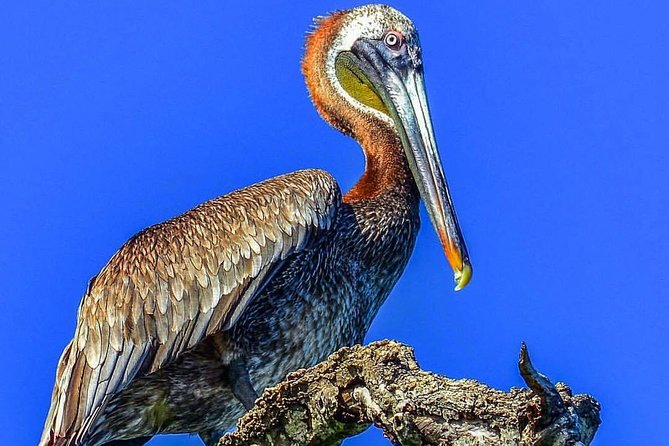 Full-Day Tour of Cayo Levantado and Los Haitises National Park