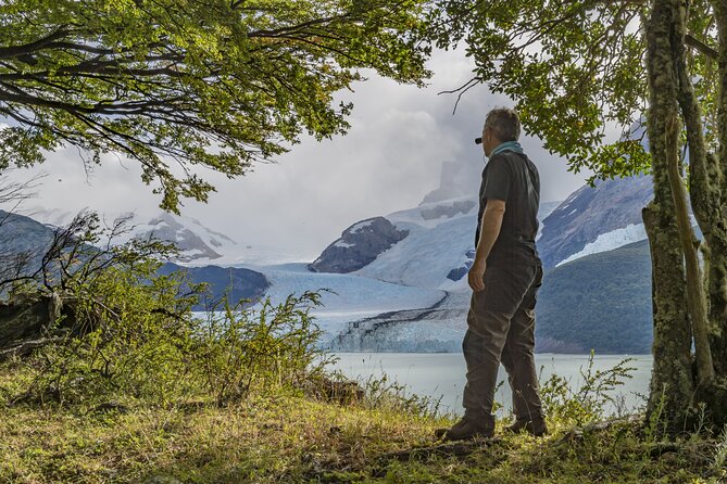 Full-Day Tour Through Glaciers Upsala and Spegazzini
