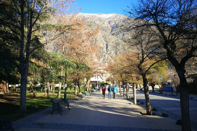 Full Day Tour to Cajón Del Maipo in a Small Group