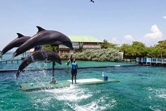 Full Day Tranquil Beach Premium Terrestrial Plus Rosario Islands - Overview