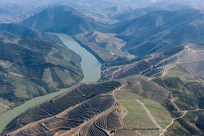 Full Day, Wine Tasting, River Cruise and Lunch From Porto - Tour Overview and Highlights