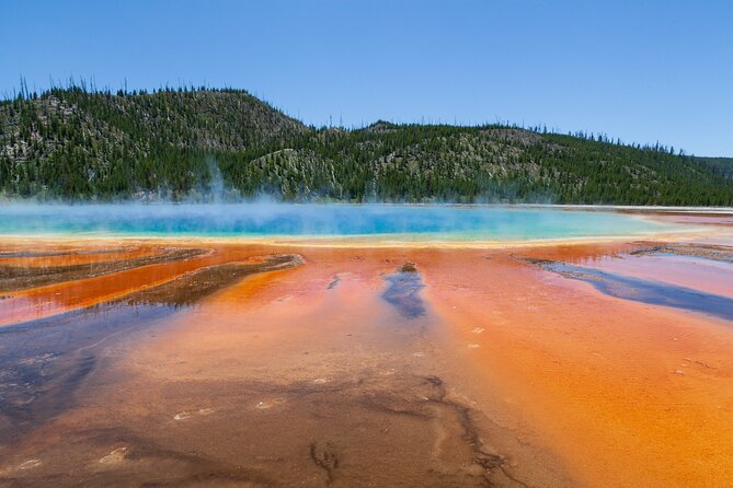 2 Best Full-Day Tours In West Yellowstone