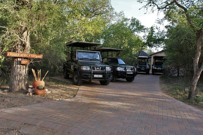 Fullday Gamedrives in Kruger National Park From Marlothpark