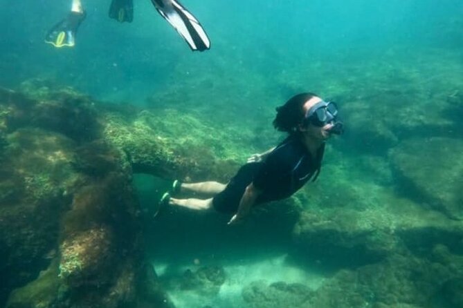 Galapagos Hoping Islands: 7 Days, Experience 4 Islands - Tour Overview