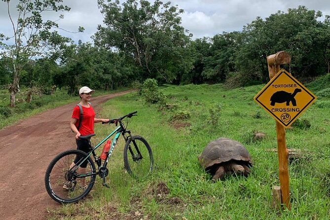 Galapagos TURTLE Bike Route + Reserve the CHATO - Highlights of the Biking Itinerary