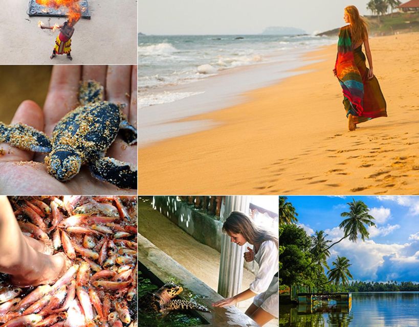 Galle and Bentota Day-Tour From Colombo