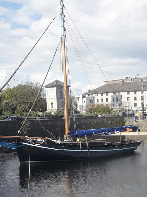 Galway City: Guided Walking Tour With an Expert - Tour Overview