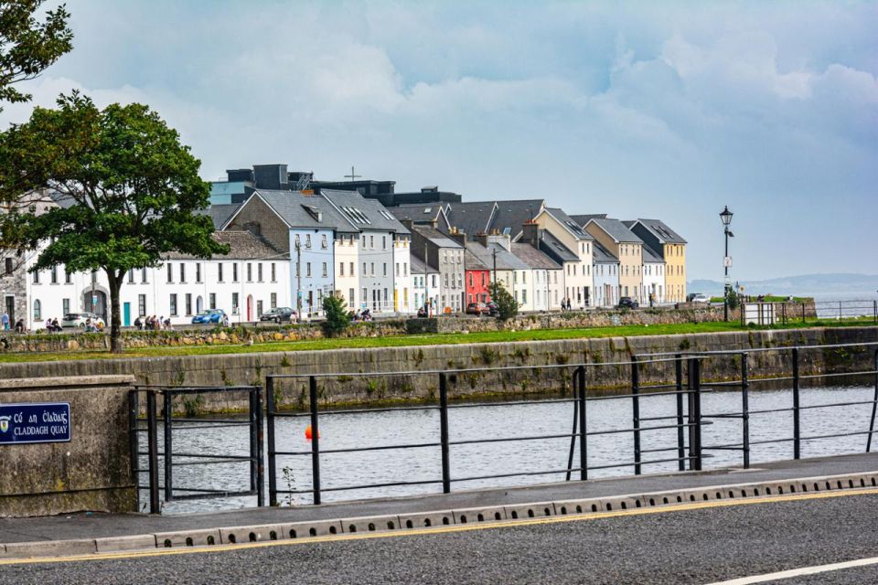 Galway Gourmet Adventure: A Culinary Odyssey - Overview of the Adventure