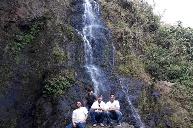 Garden Coffee Lovers Private Tour With Waterfall Option From Medellín
