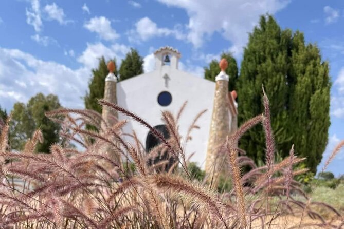 Gastronomic Wine Tasting in Mértola, Alentejo