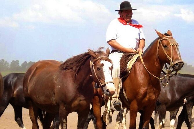 Gaucho Day Tour Santa Susana Estancia From Buenos Aires