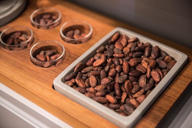 Geneva Chocolate Tasting Tour in a Private Taxibike - Tour Features