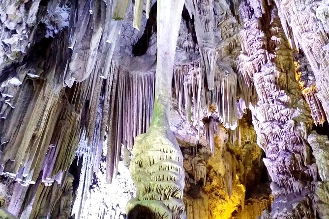 Gibraltar Private Trip From Marbella or Malaga