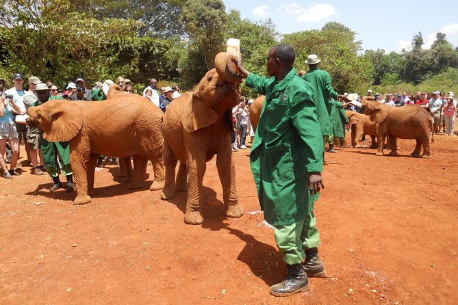 Giraffe Center, Elephant Orphanage and Beads Center