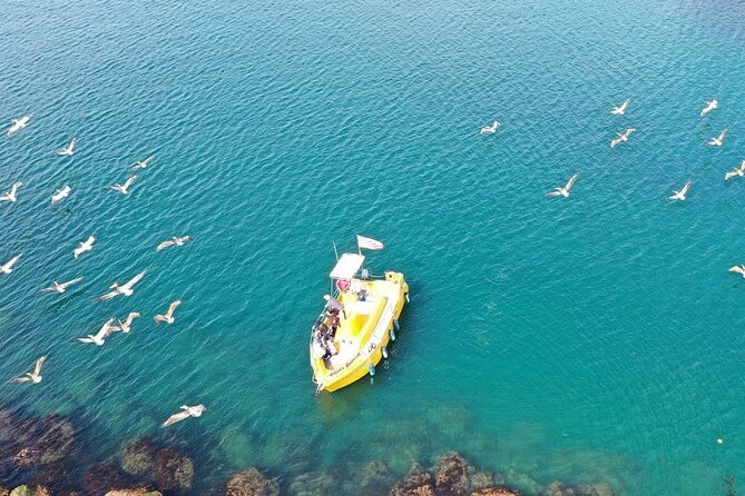 Glass Bottom Boat Ride in Redondo Beach - Overview and Ratings