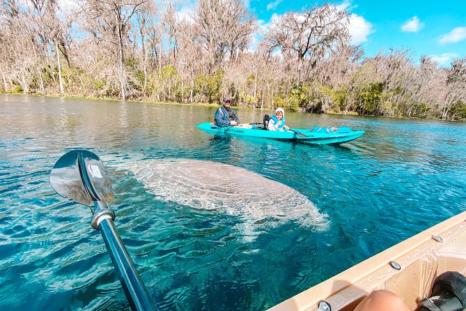 Glass Bottom Kayak Silver Springs; 2hr Tour - Tour Overview and Highlights