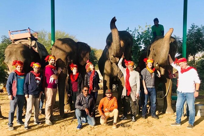 Golden Triangle Tour With Ranthambore 6 Days
