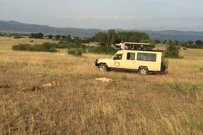 Gorilla & Chimpanzee Trekking in Uganda – 5 Days