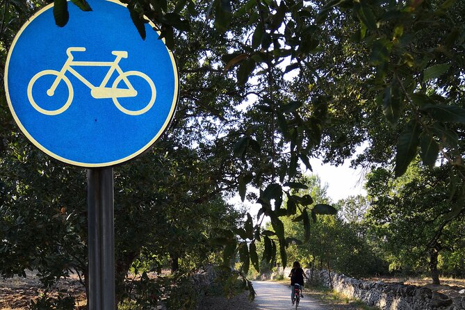 GPS Tour With E-Bike on Cycleroute of Acqueduct Pugliese With Wine Tasting Directly in Vineyards
