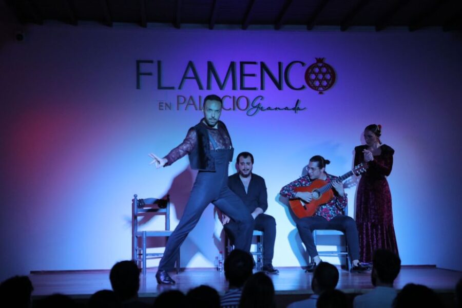 Granada: 1-Hour Traditional Flamenco Show at Palacio