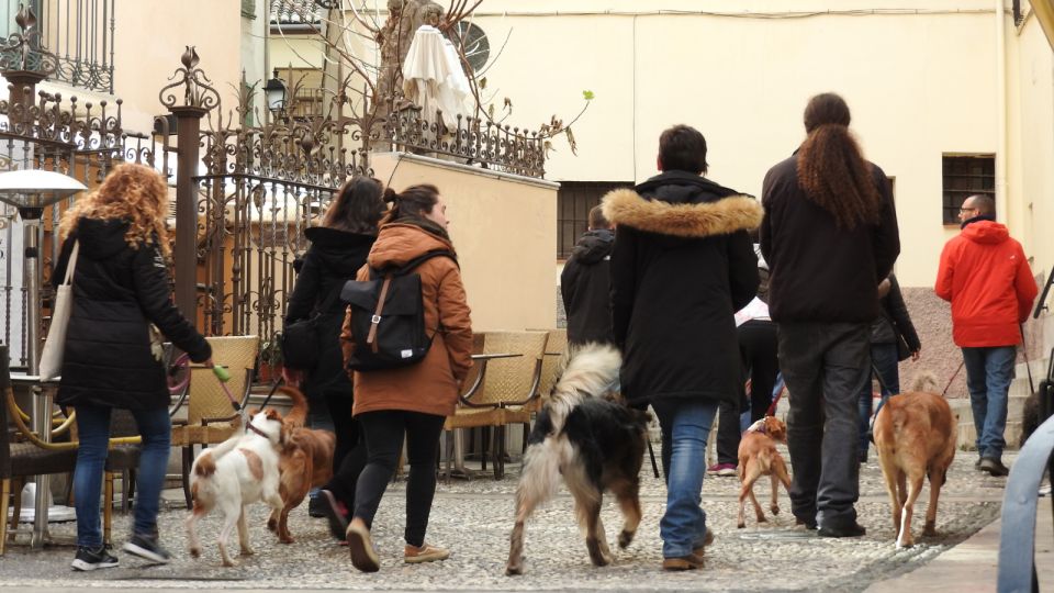 Granada: Guided Realejo Tour With Pets - Tour Overview