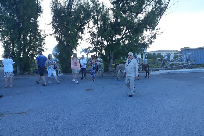Grand Turk Island Wide Private Tour