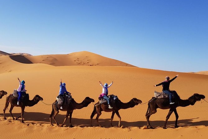 Group – 1 Night Desert Tour From Fes to Marrakech or Back to Fes