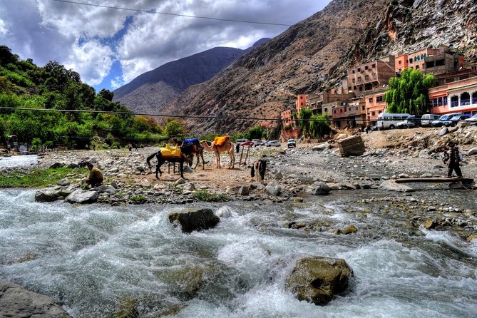 Group Shared Day Tour to Ourika Valley & Atlas Mountains - Tour Highlights