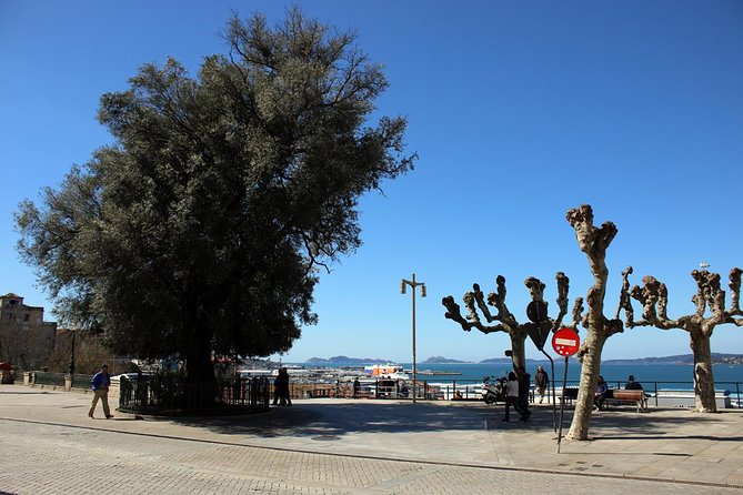 GROUP Walking Tour in Vigo