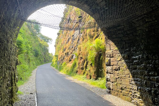 Guided Bike Ride: Exploring the Limerick Greenway