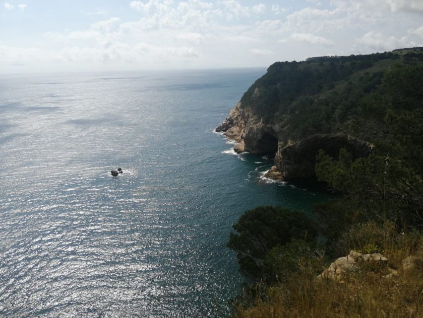 Guided Boat Tour to Medes Islands & Roca Foradada With Swim - Tour Overview