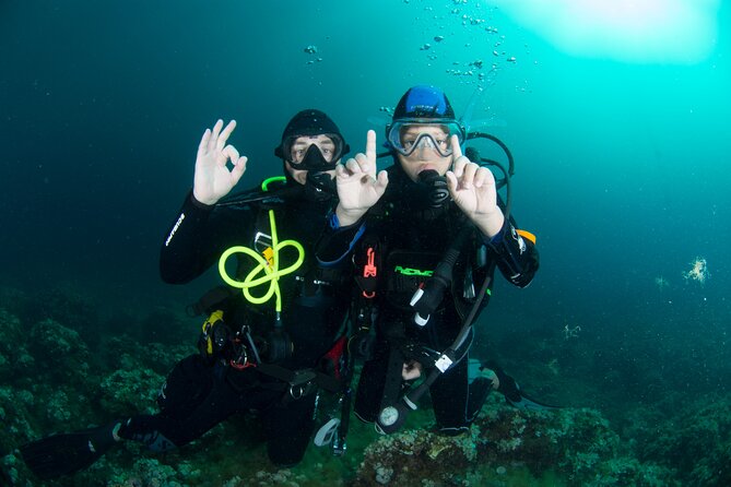 Guided Diving for Beginners Without Certification From Sorrento - Gearing Up for the Dive