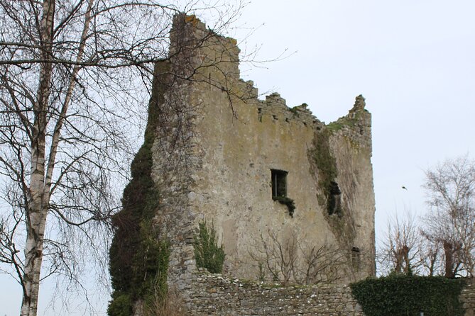 Guided Ebike Tour - Killaloe and the Lough Derg Shore
