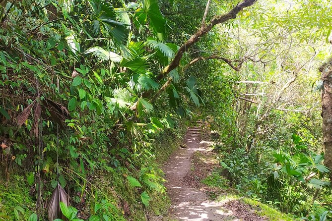 5 Best Tours in El Valle De Anton