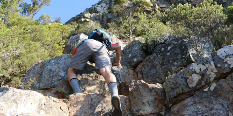 Guided Hike to the Top of Table Mountain