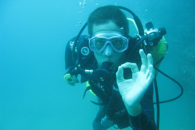 Guided Immersion - Visual Experiences