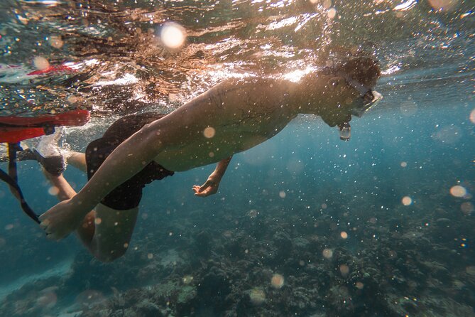 Guided Snorkeling Adventure in West Bay