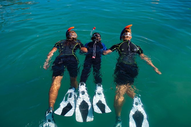 Guided Snorkeling Experience in Caleta De Fuste Review
