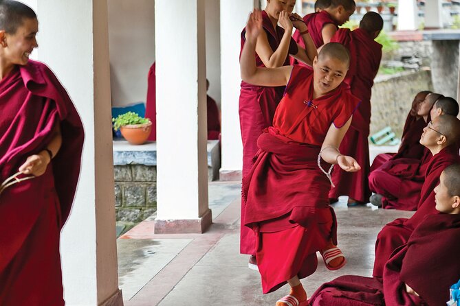 Guided Tibetan Culture Walk at Norbulingka,Gyuto and Nunnery - Immersive Cultural Experiences